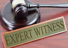 Expert Witness